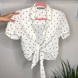 Polka Dot Collared Crop Top